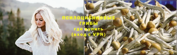 Альфа ПВП Аркадак