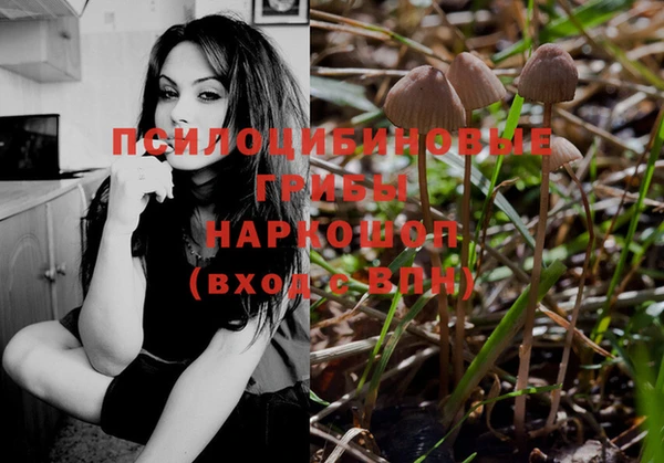 Альфа ПВП Аркадак