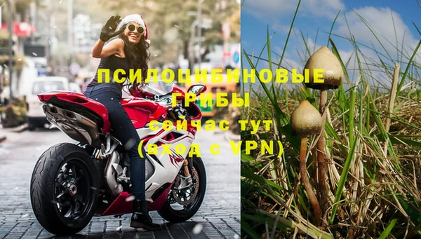 таблы Арсеньев