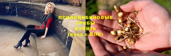 хмурый Армянск