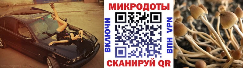 блэк спрут ТОР  Калтан  Галлюциногенные грибы Psilocybe  купить наркотик 